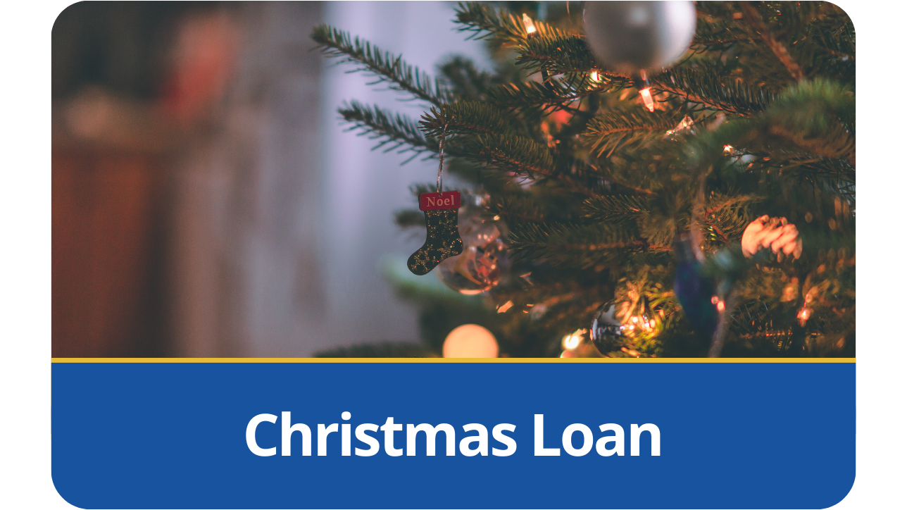 Discontinued Accounts No1 CopperPot Credit Union Number One Police